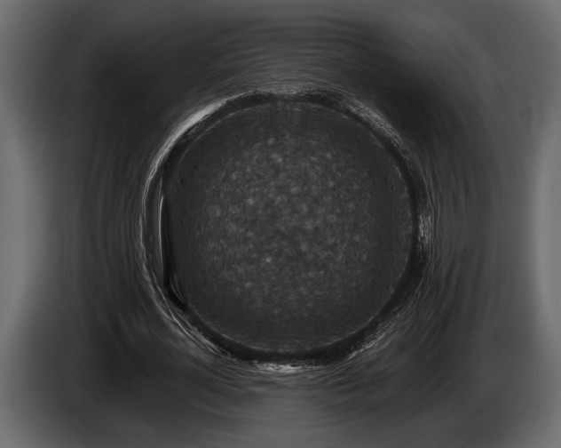 X0000085770724200703231223