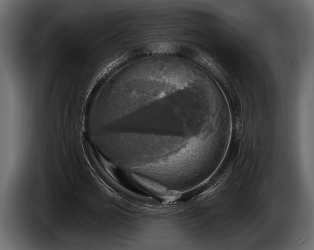 X0000085770725200703231223