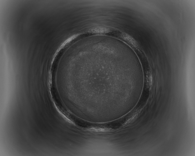 X0000085770726200703231223