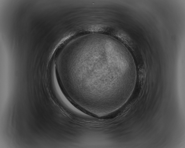 X0000085770727200703231223