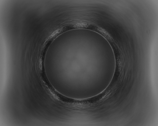 X0000085770729200703231223