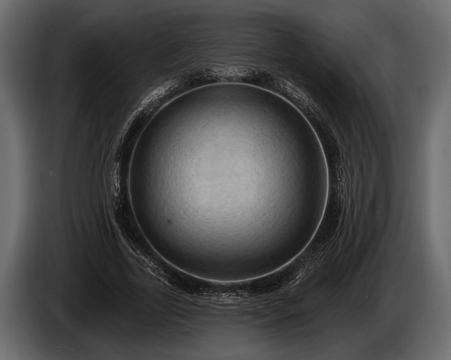 X0000085770731200703231223