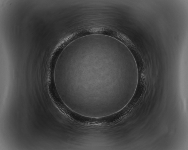 X0000085770732200703231223