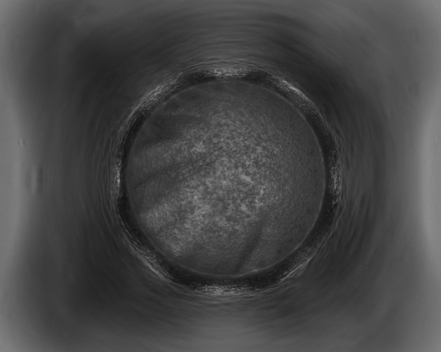 X0000085770733200703231223