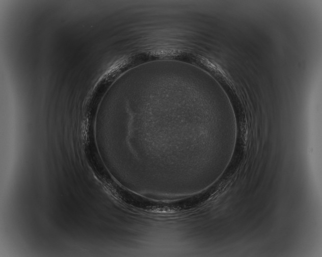 X0000085770735200703231223