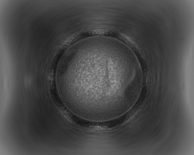 X0000085770737200703231223