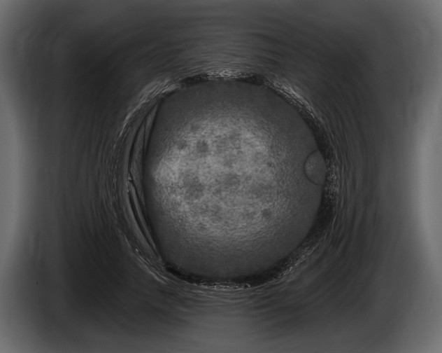 X0000085770738200703231223