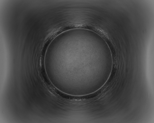 X0000085770740200703231223