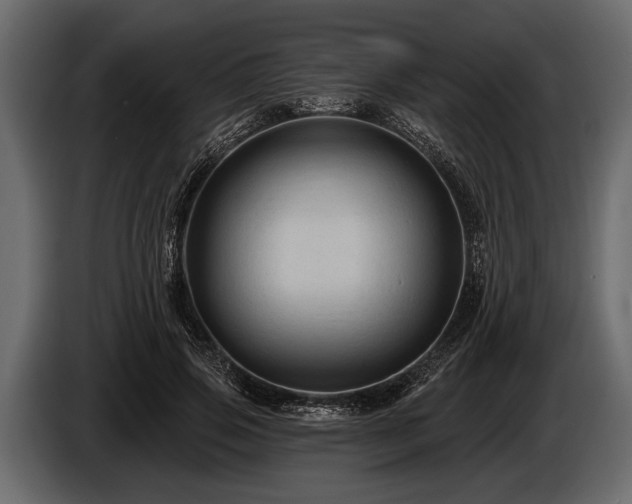 X0000085770741200703231223