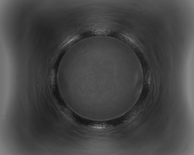 X0000085770744200703231223