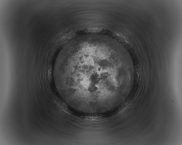 X0000085770745200703231223