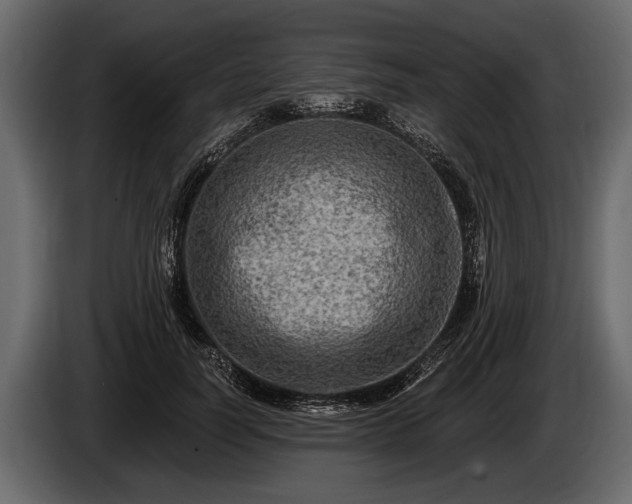 X0000085770746200703231223