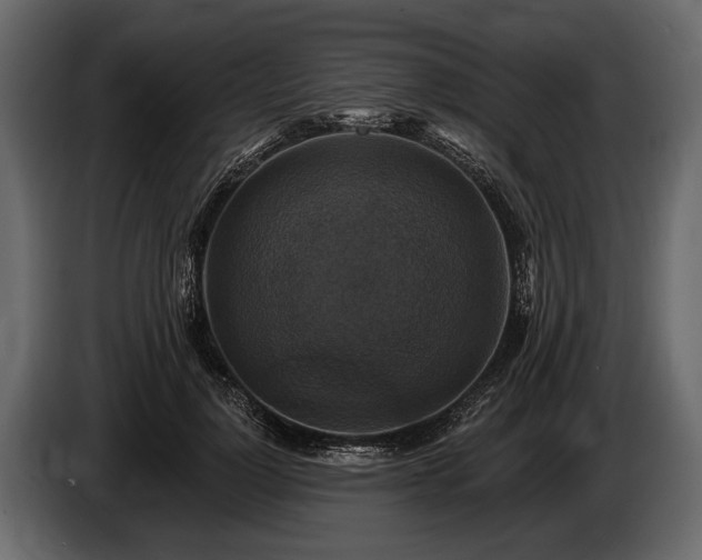 X0000085770748200703231223