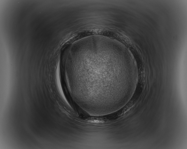 X0000085770750200703231223