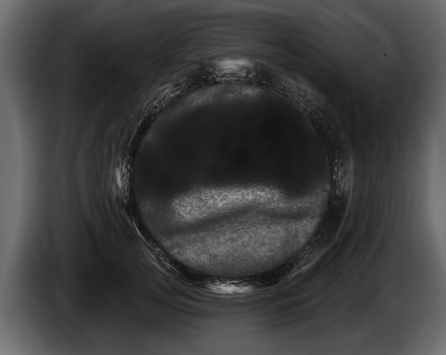 X0000085770753200703231223