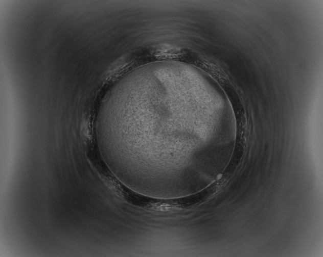 X0000085770755200703231223