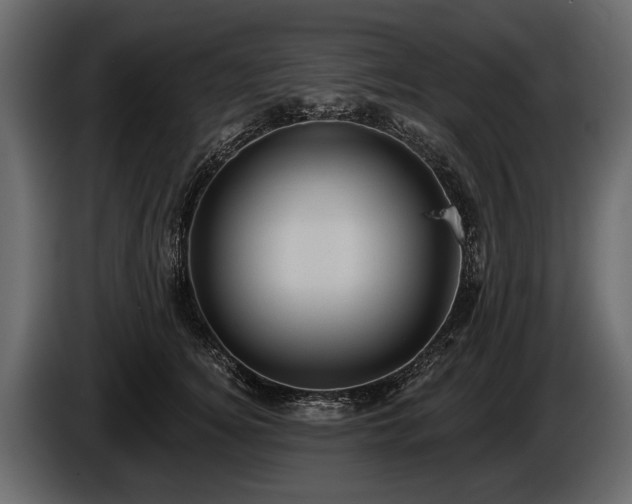 X0000085770756200703231223