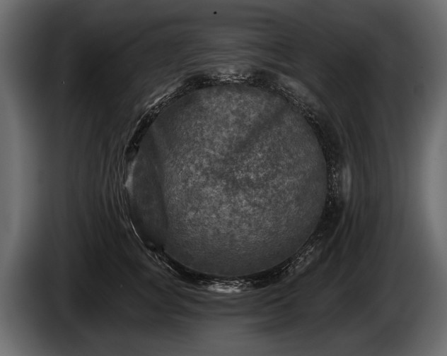 X0000085770757200703231223