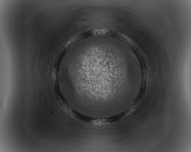 X0000085770761200703231223