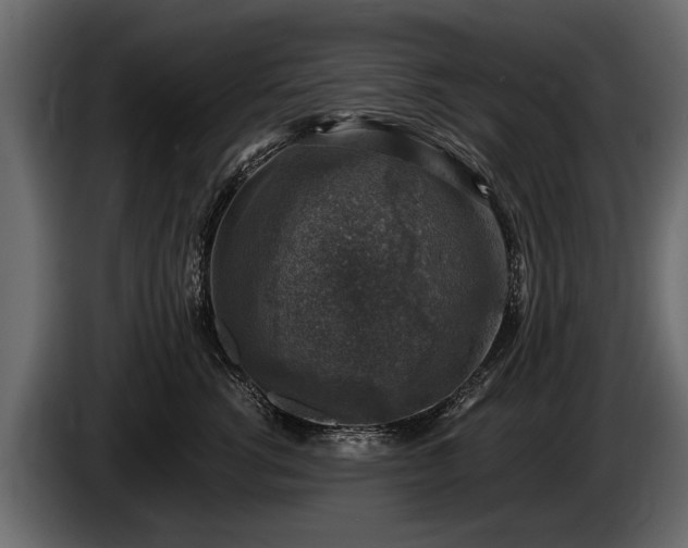 X0000085770762200703231223