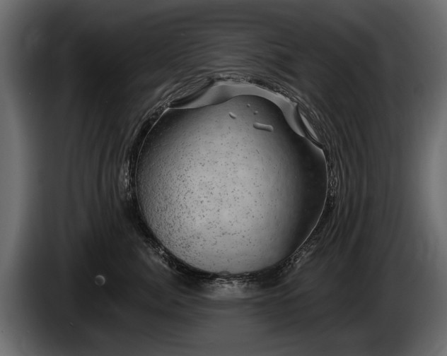 X0000085770764200703231223