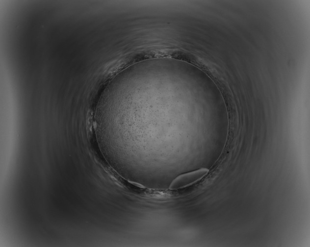 X0000085770768200703231223