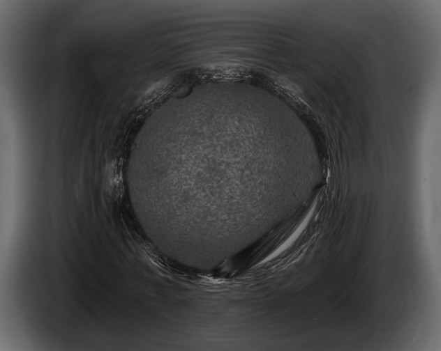 X0000085770771200703231223