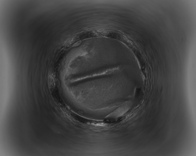 X0000085770772200703231223