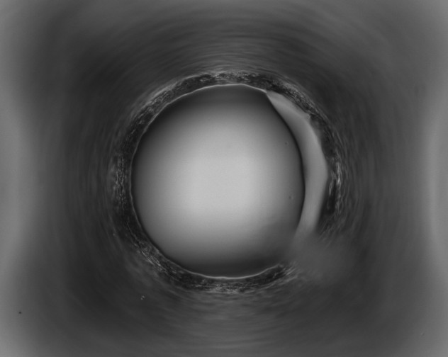 X0000085770773200703231223