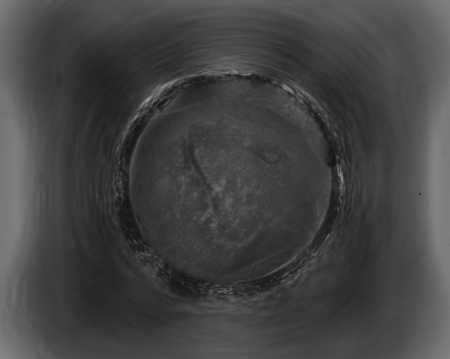 X0000085770776200703231223