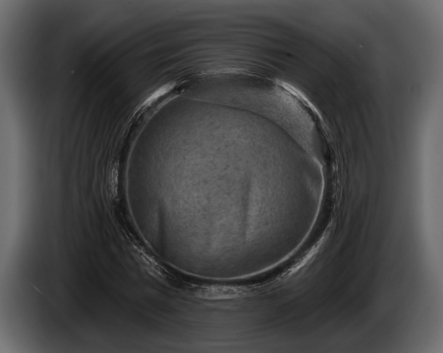 X0000085770777200703231223