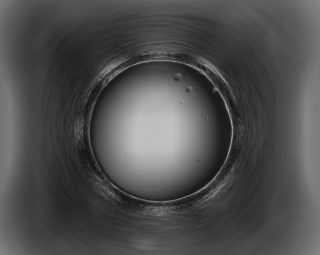 X0000085770778200703231222