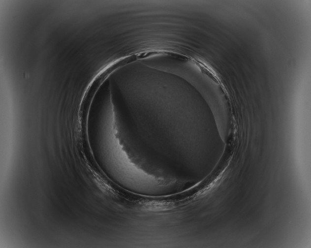 X0000085770779200703231222