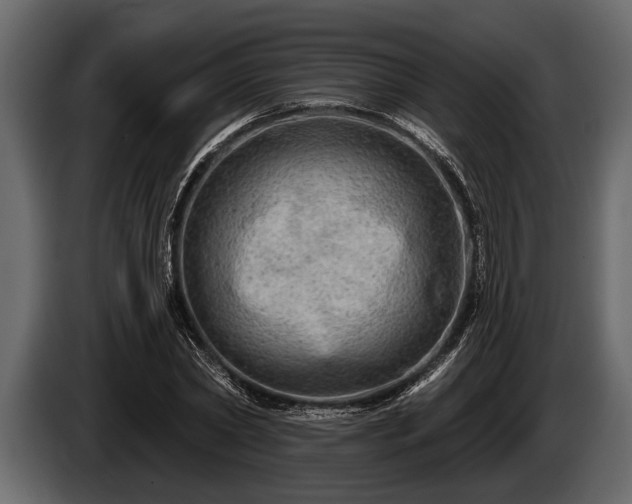 X0000085770782200703231222