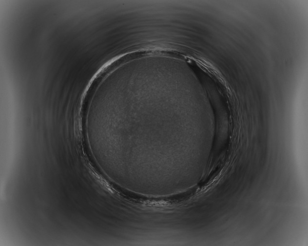 X0000085770784200703231222