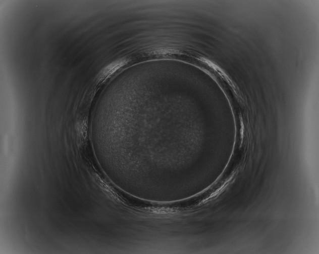 X0000085770785200703231222