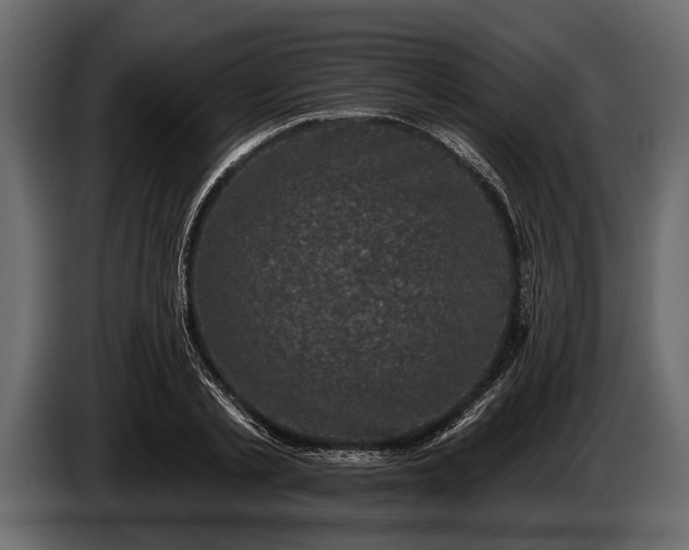 X0000085770789200703231222