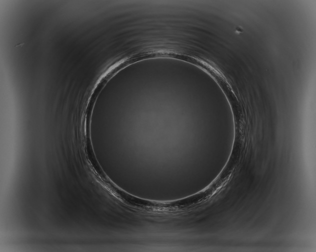 X0000085770790200703231222