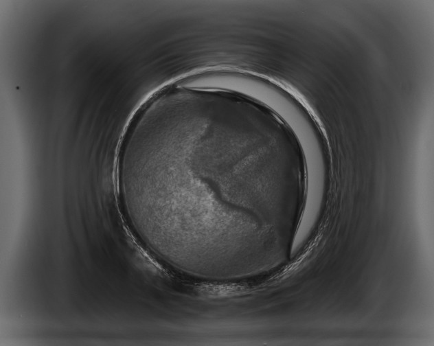 X0000085770791200703231222