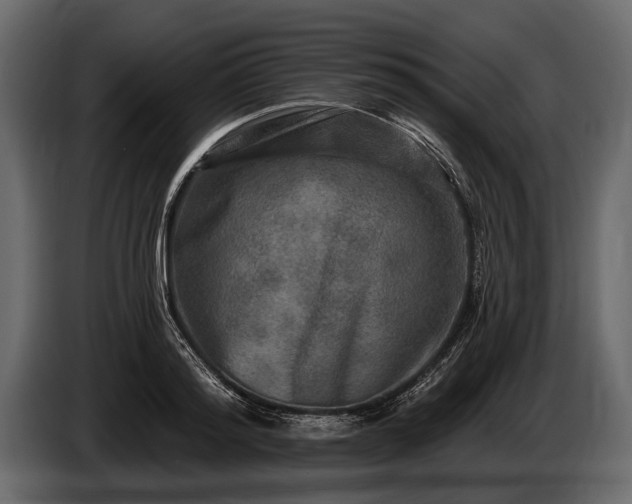 X0000085770796200703231222