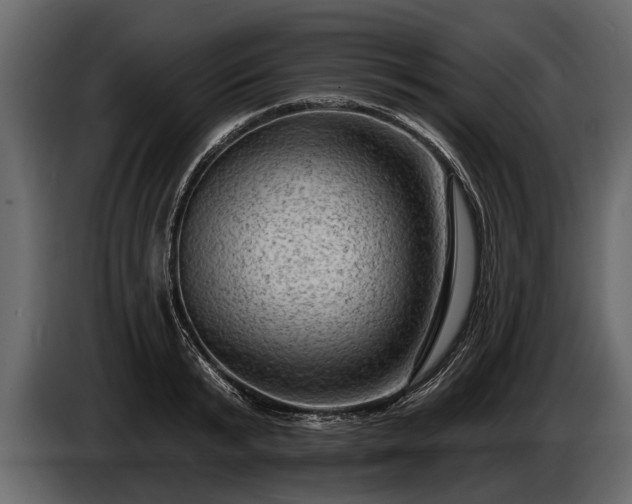 X0000085770799200703231222