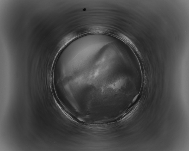 X0000085770802200703231222