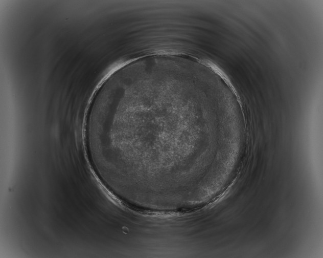 X0000085770803200703231222