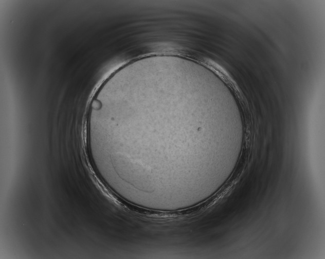 X0000085770804200703231222