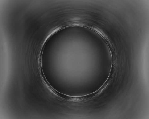 X0000085770806200703231222