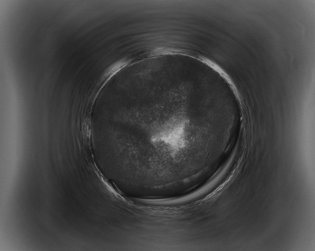 X0000085770809200703231222