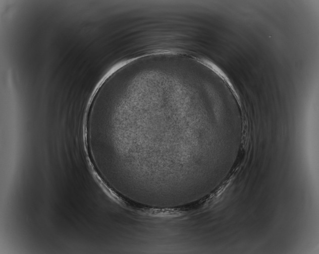 X0000085770811200703231222