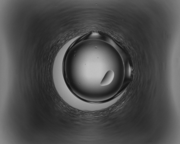 X0000085770818200703231221