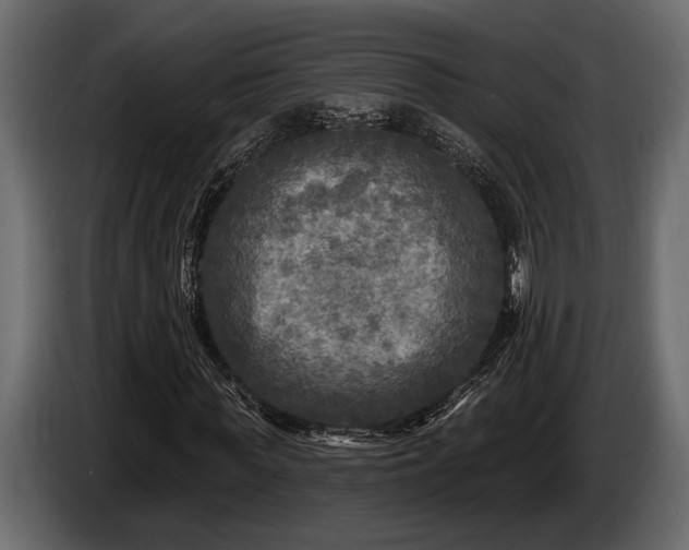 X0000085770819200703231221