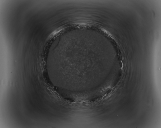 X0000085770822200703231221